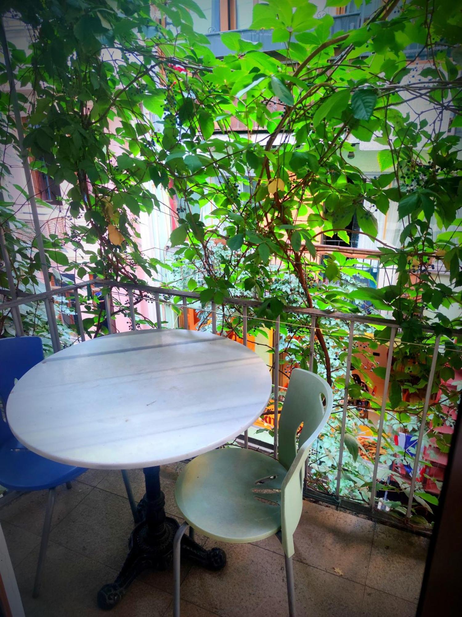 Mimoza Istiklal Apart Hotel 伊斯坦布尔 外观 照片