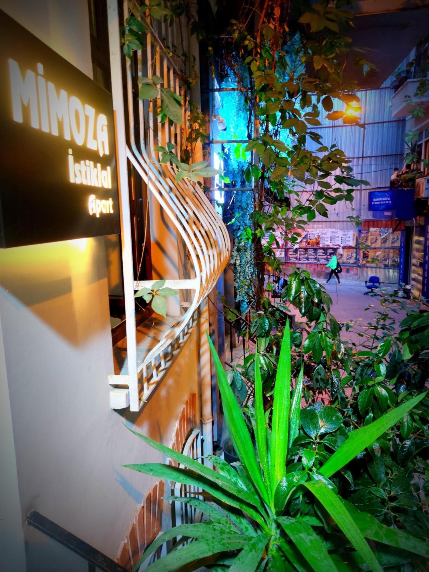 Mimoza Istiklal Apart Hotel 伊斯坦布尔 外观 照片