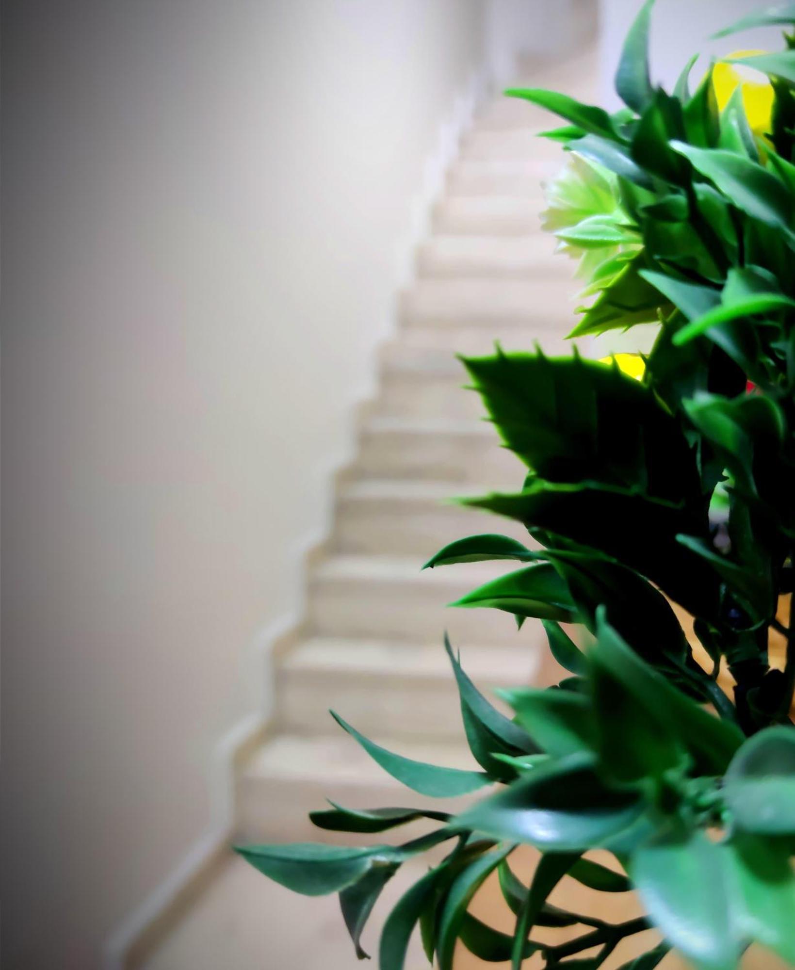 Mimoza Istiklal Apart Hotel 伊斯坦布尔 客房 照片