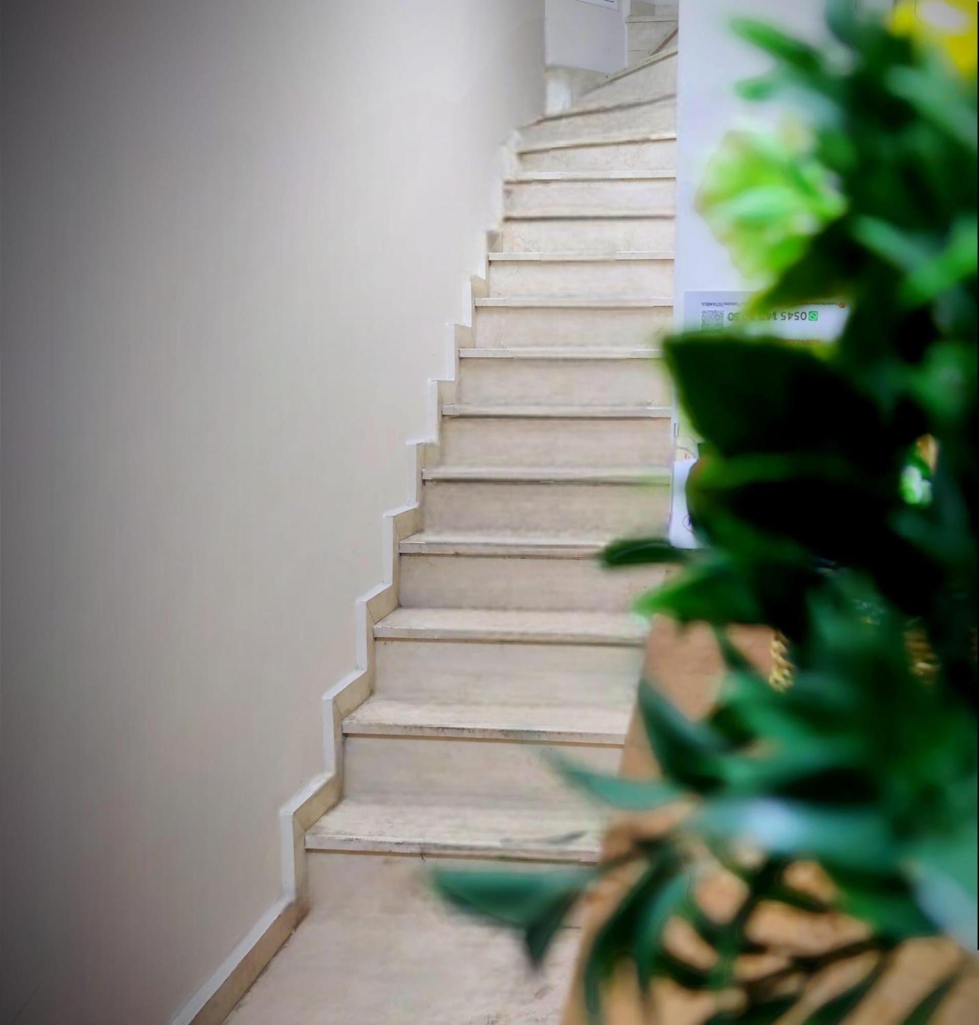 Mimoza Istiklal Apart Hotel 伊斯坦布尔 外观 照片